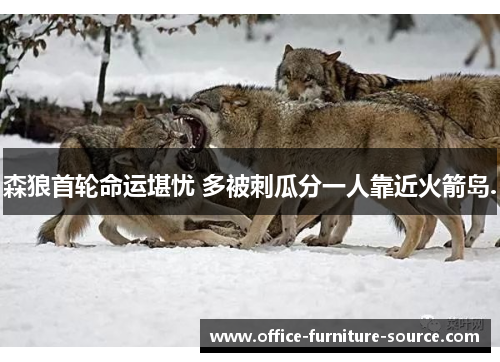 森狼首轮命运堪忧 多被刺瓜分一人靠近火箭岛.